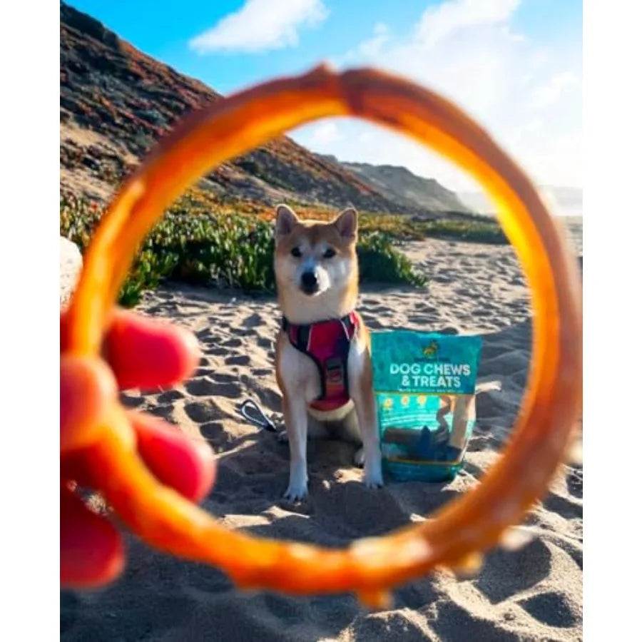 Bully Stick Rings for Dogs - 20 Pack 4 Premium All Natural Long Twisted Beef Pizzle Dog Chew Treats Low Odor Grain Free Fully D