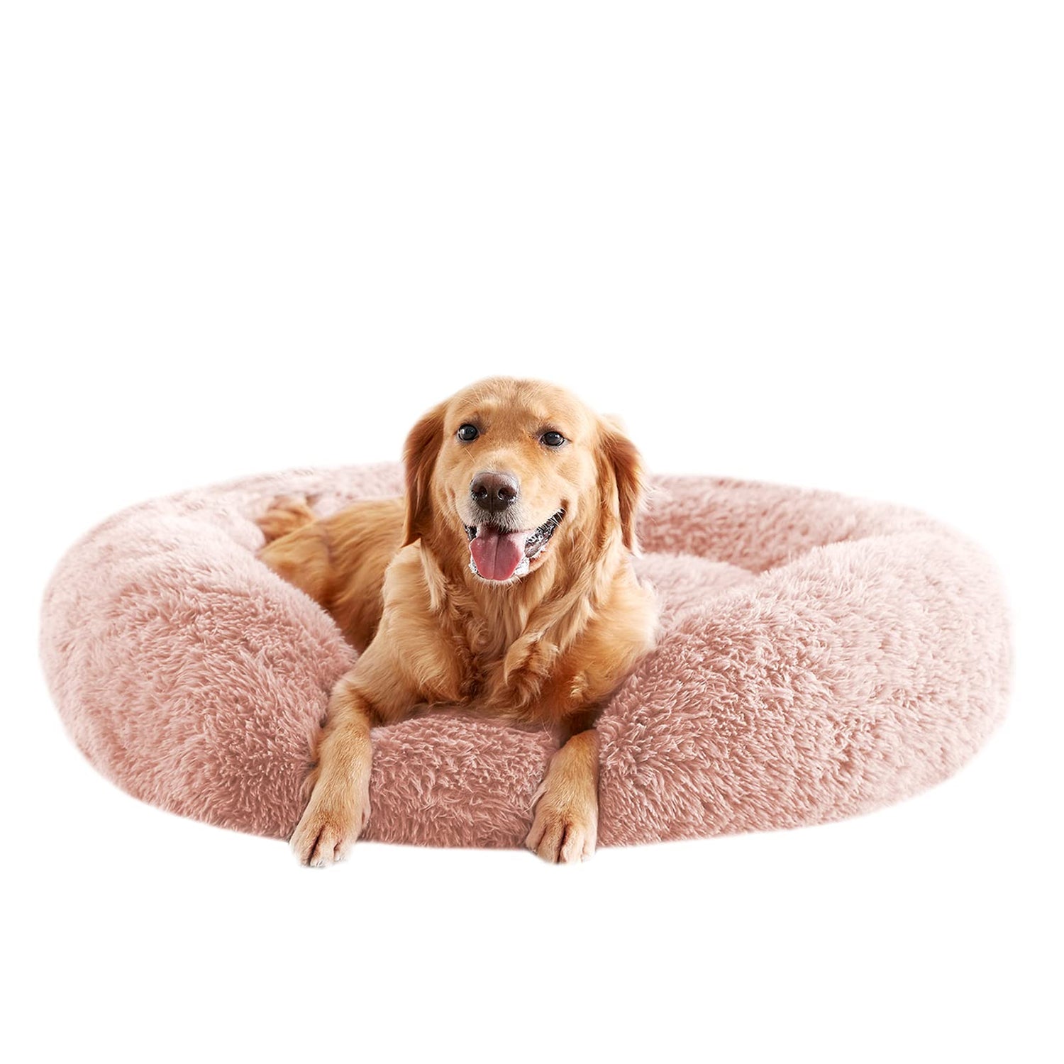 Dog Beds