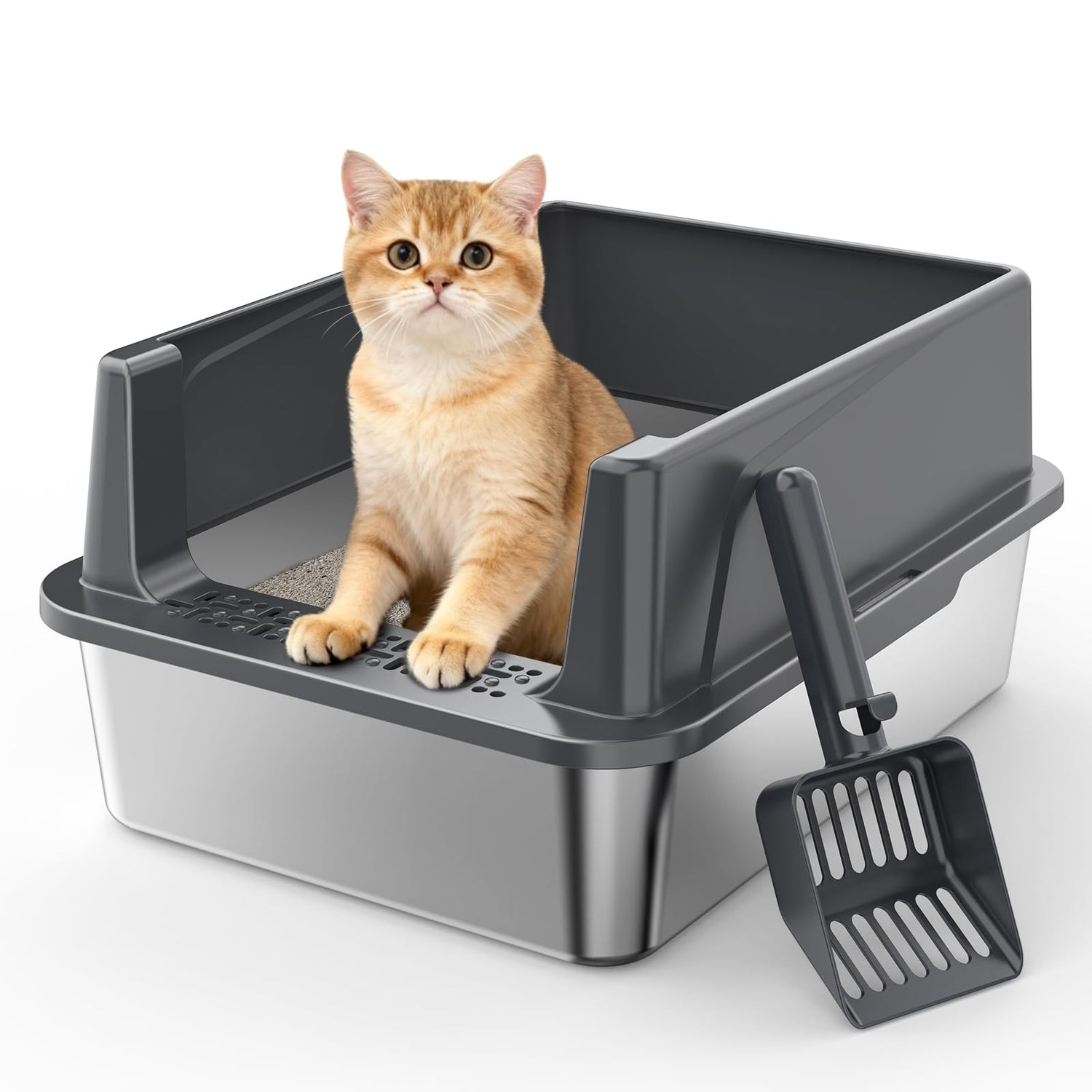 Litter Box