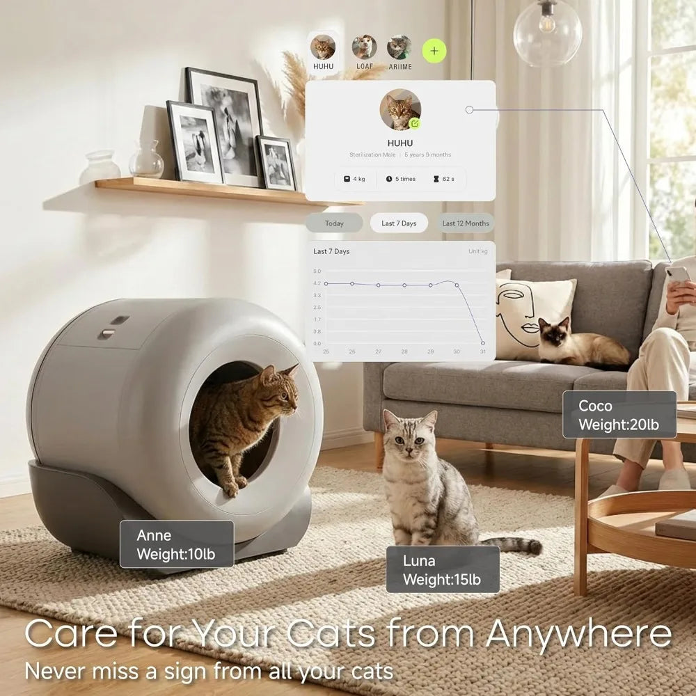 Automatic Litter Box Self Cleaning, Kitty Litter Box, Smart Safety Sensors, Odor & Leak Control, Large Capacity，Customized