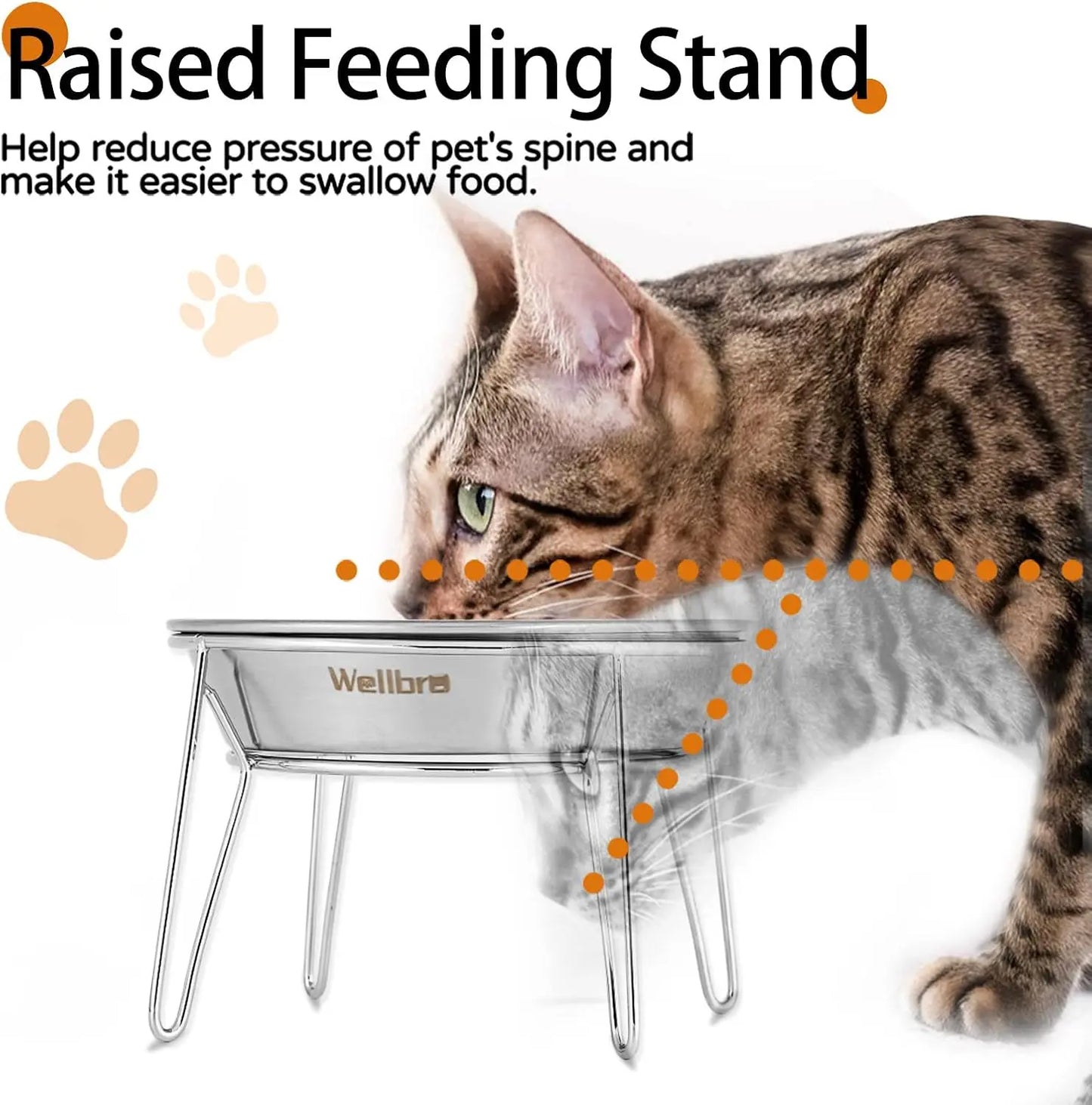 4-Pack Stainless Steel Raised Pet Bowls for Cats and Small Dogs, Anti-Whisker Fatigue, Easy Clean