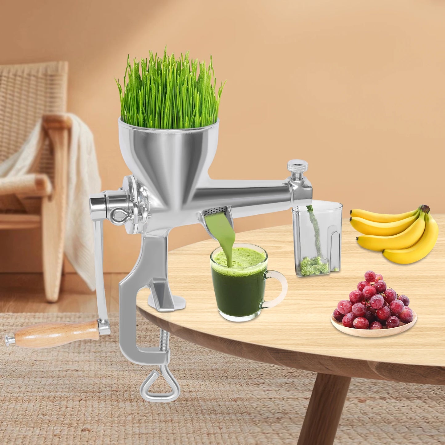 Fruit/Vegetable Squeezer Stainless Steel Manual Juicer with Screw Clamp Wheat grass Squeezed Fruit Vegetable Extrusion Silver