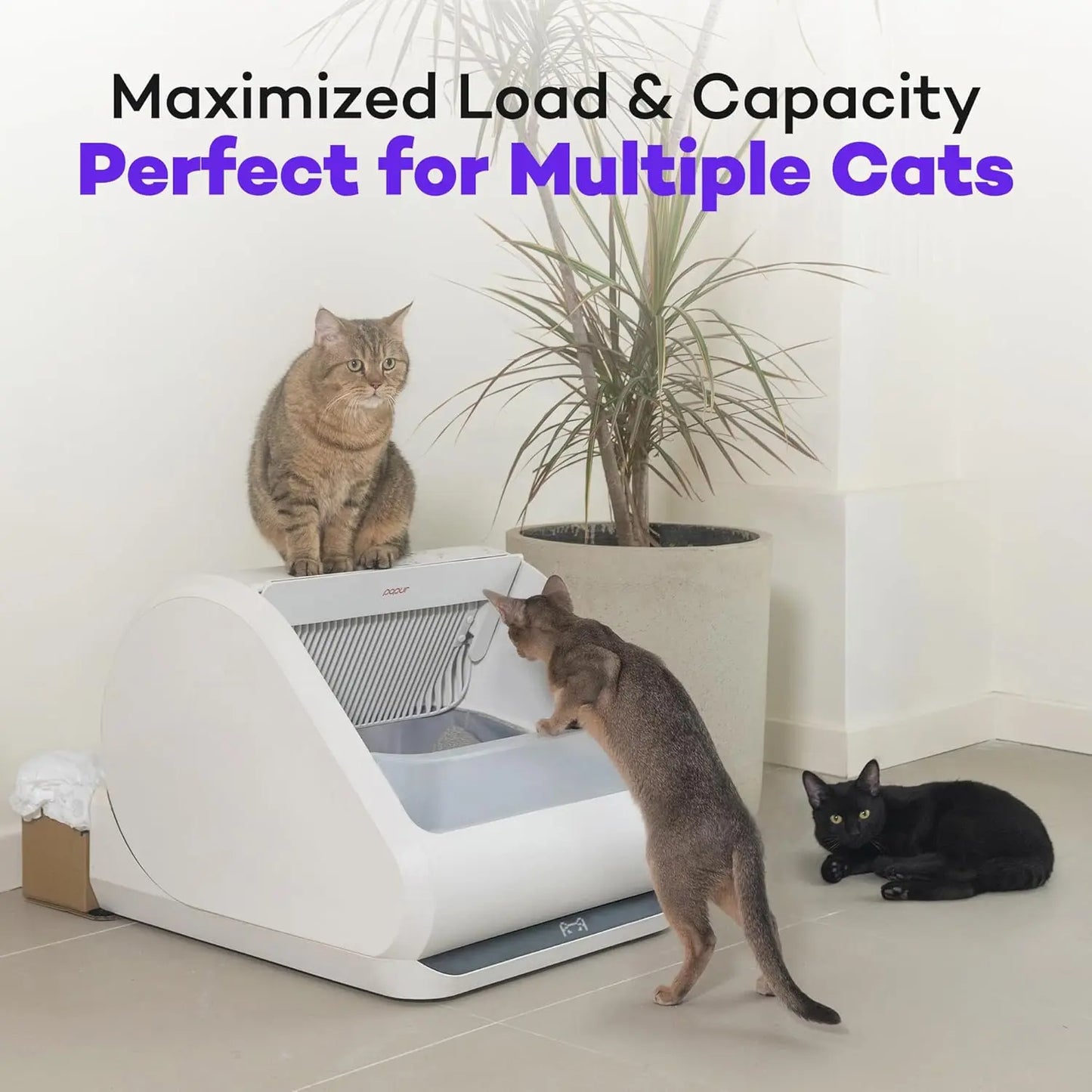 (Upgraded)  X5 Self Cleaning Cat Litter Box - Unique Open Top Split System - Automatic Litter Scooping Robot,, Customized