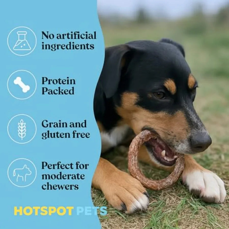 Bully Stick Rings for Dogs - 20 Pack 4 Premium All Natural Long Twisted Beef Pizzle Dog Chew Treats Low Odor Grain Free Fully D